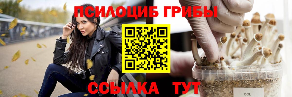 Богданович  Псилоцибиновые грибы мухоморы  Вход с VPN 